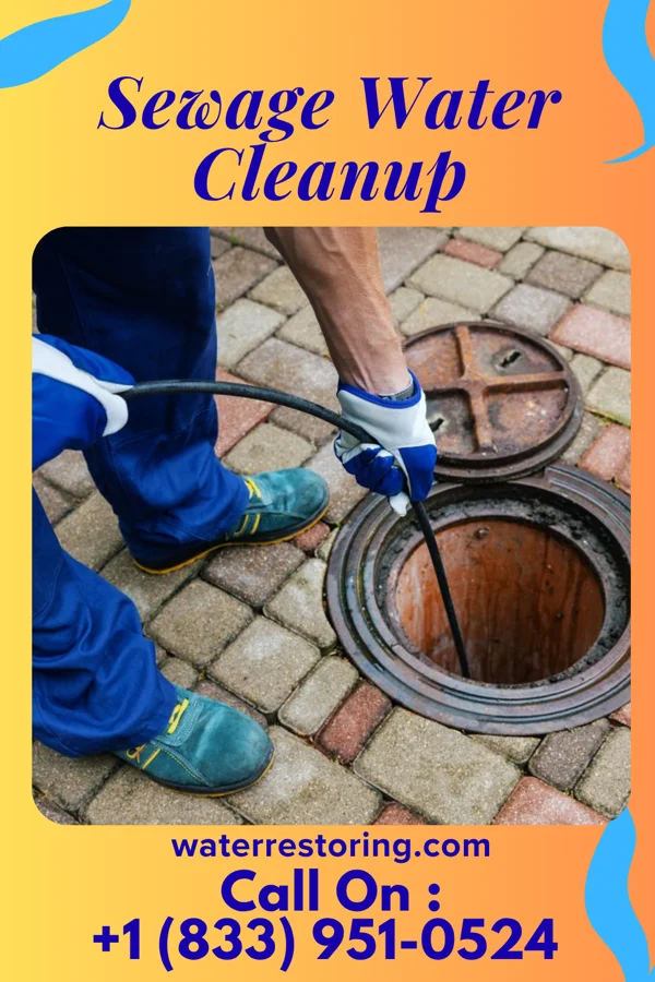 Sewage Water Cleanup in Craig, CO